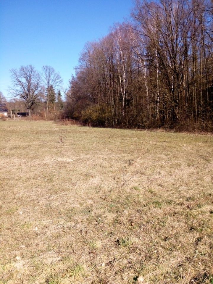 Działka rolno-budowlana Skórzyn. Zdjęcie 2