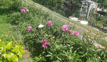 Działka rod Kołobrzeg, ul. Janiska