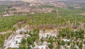 Działka budowlana Sasino, ul. Stara Cegielnia