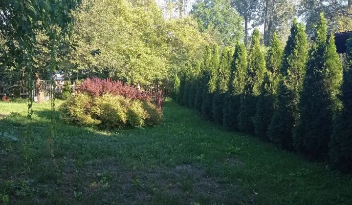 Działka rod Mława, ul. Szreńska