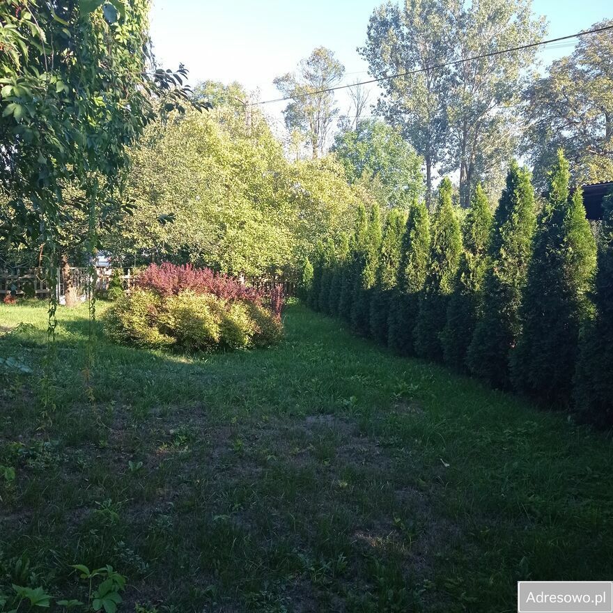 Działka rod Mława, ul. Szreńska