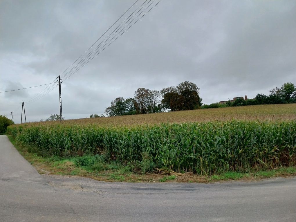 gospodarstwo, 4 pokoje Koszyce. Zdjęcie 7