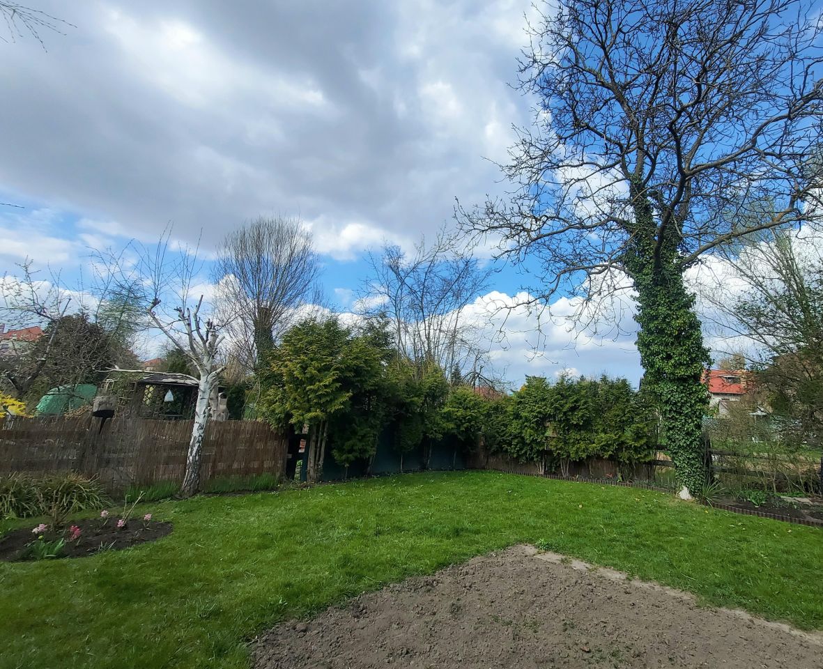 Działka rod Szczecin Gumieńce, ul. Ku Słońcu. Zdjęcie 4