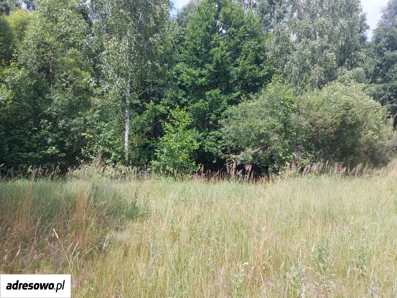 Działka inna Wiluki. Zdjęcie 9