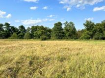 Działka rolna Bosowice. Zdjęcie 3