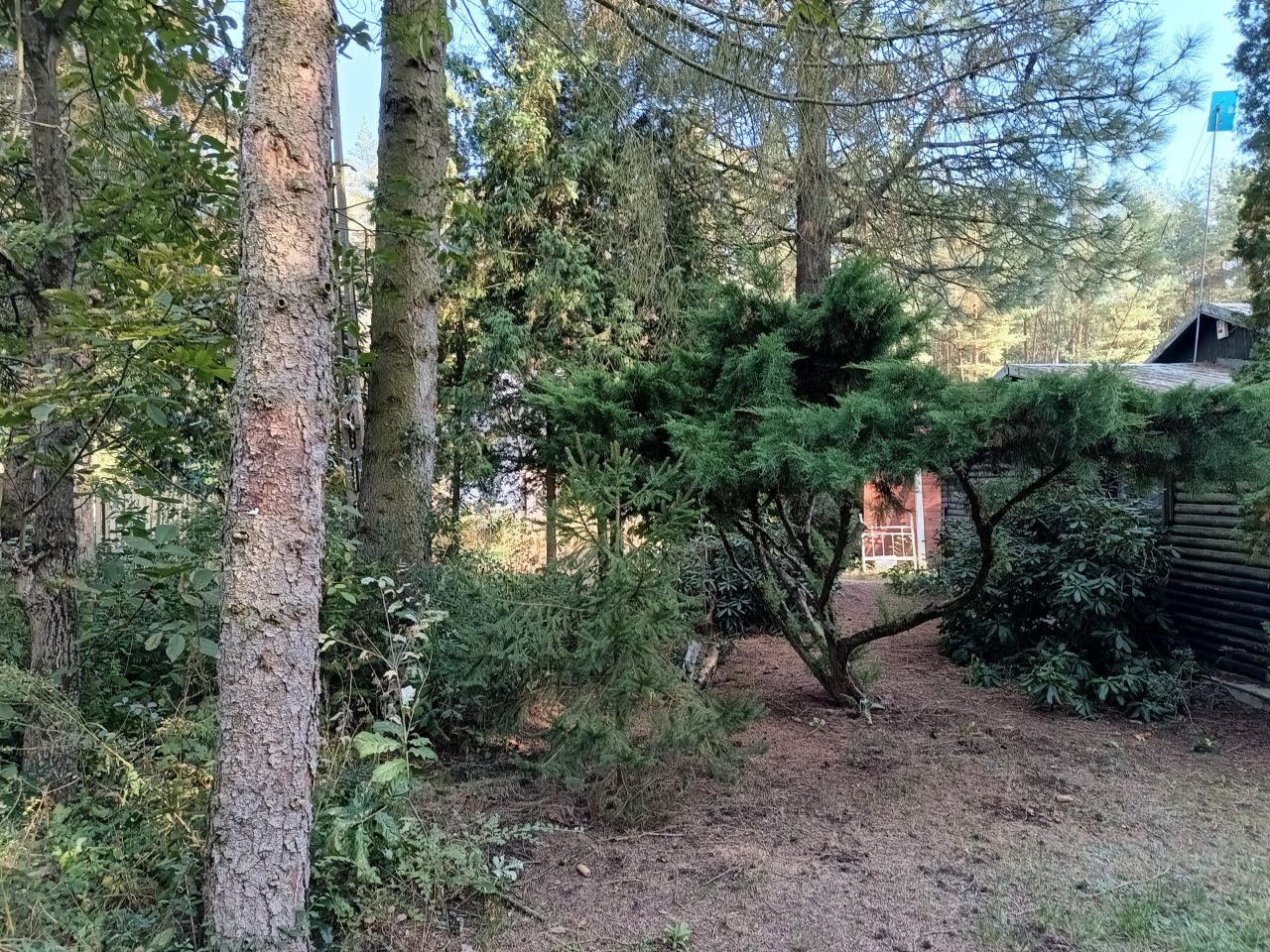 Działka budowlana Adamów-Wieś, ul. Sarnia. Zdjęcie 6