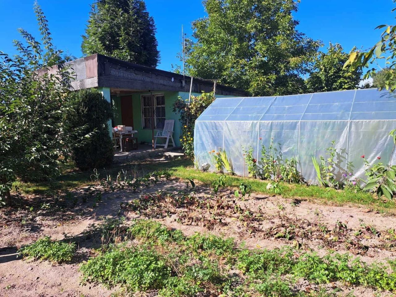 Działka rod Ciechanów