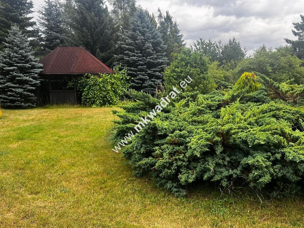Działka Budy Wolskie. Zdjęcie 15