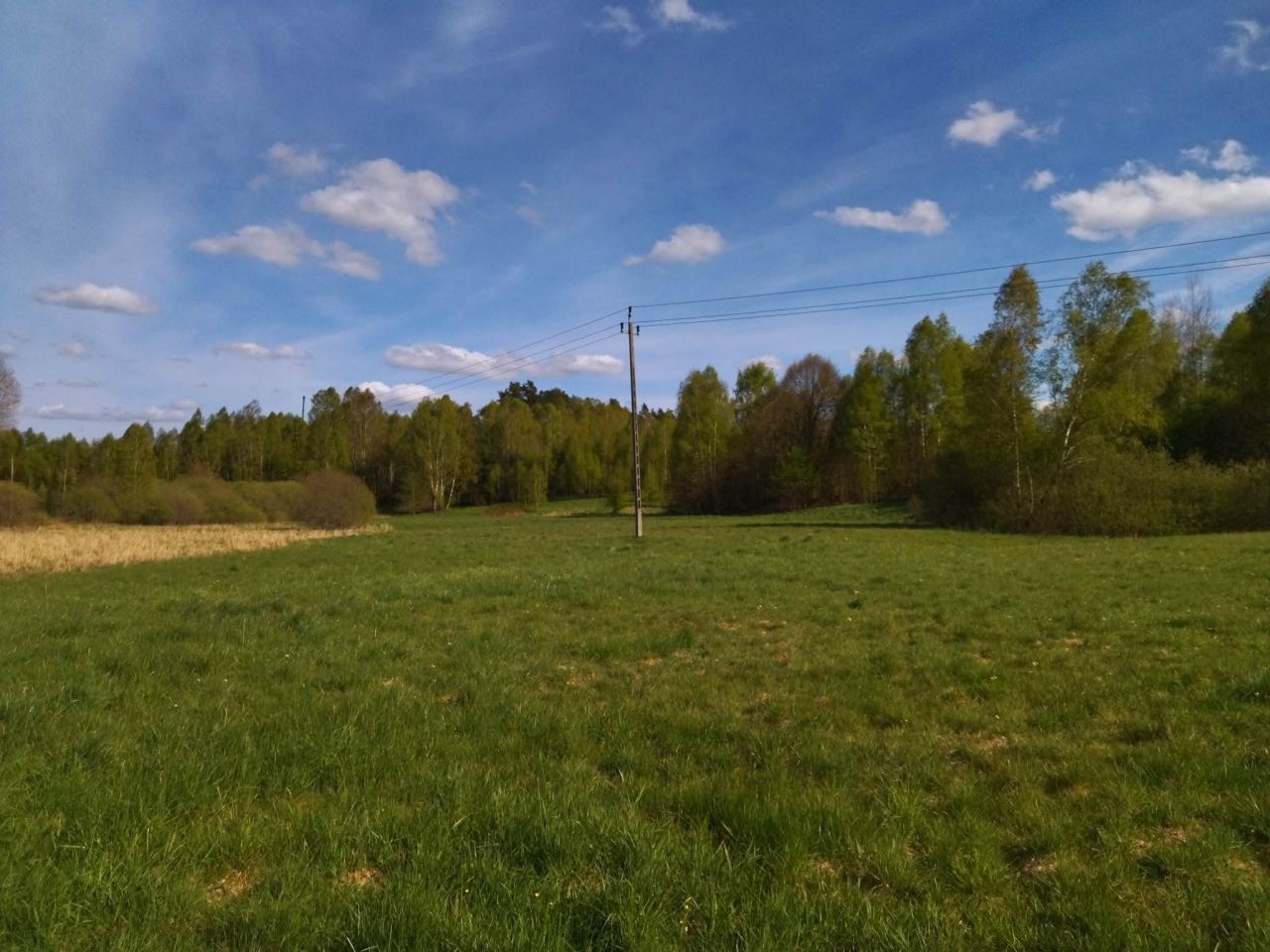 Działka budowlana Wielimowo. Zdjęcie 17