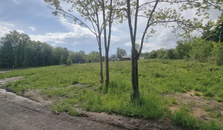 Działka rolno-budowlana Szadek, ul. Opłotki
