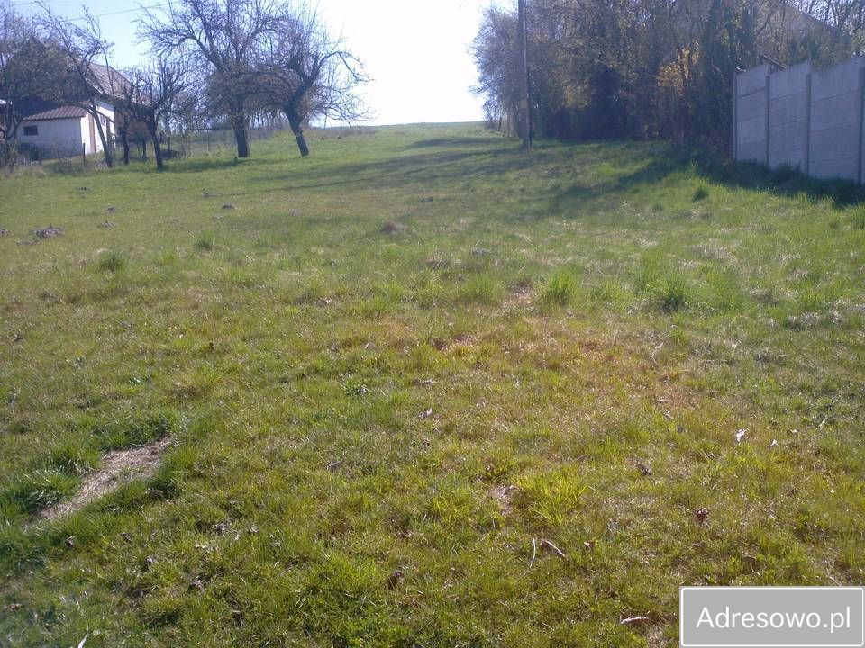 Działka budowlana Przyłęk. Zdjęcie 7