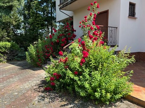 dom wolnostojący, 15 pokoi Częstochowa Grabówka, ul. Ikara. Zdjęcie 3