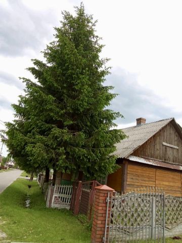 gospodarstwo, 3 pokoje Szczecyn. Zdjęcie 1