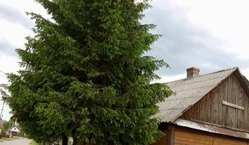 gospodarstwo, 3 pokoje Szczecyn