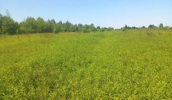 Działka budowlana Dziekanów Polski, ul. Odysei