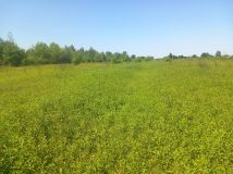 Działka budowlana Dziekanów Polski, ul. Odysei