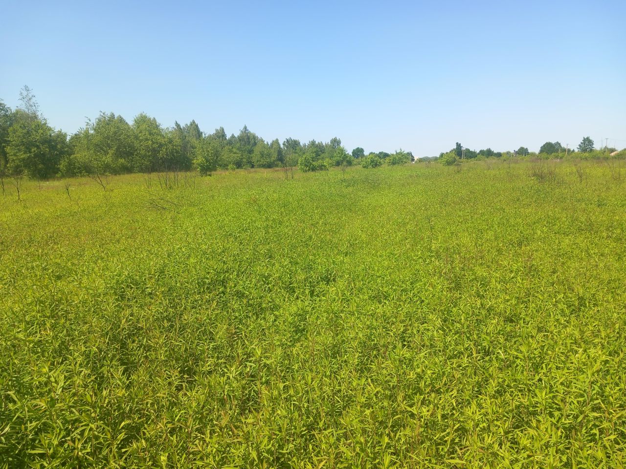 Działka budowlana Dziekanów Polski, ul. Odysei