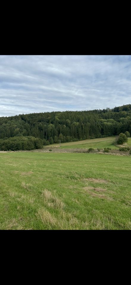 Działka rolna Chwalisław. Zdjęcie 3