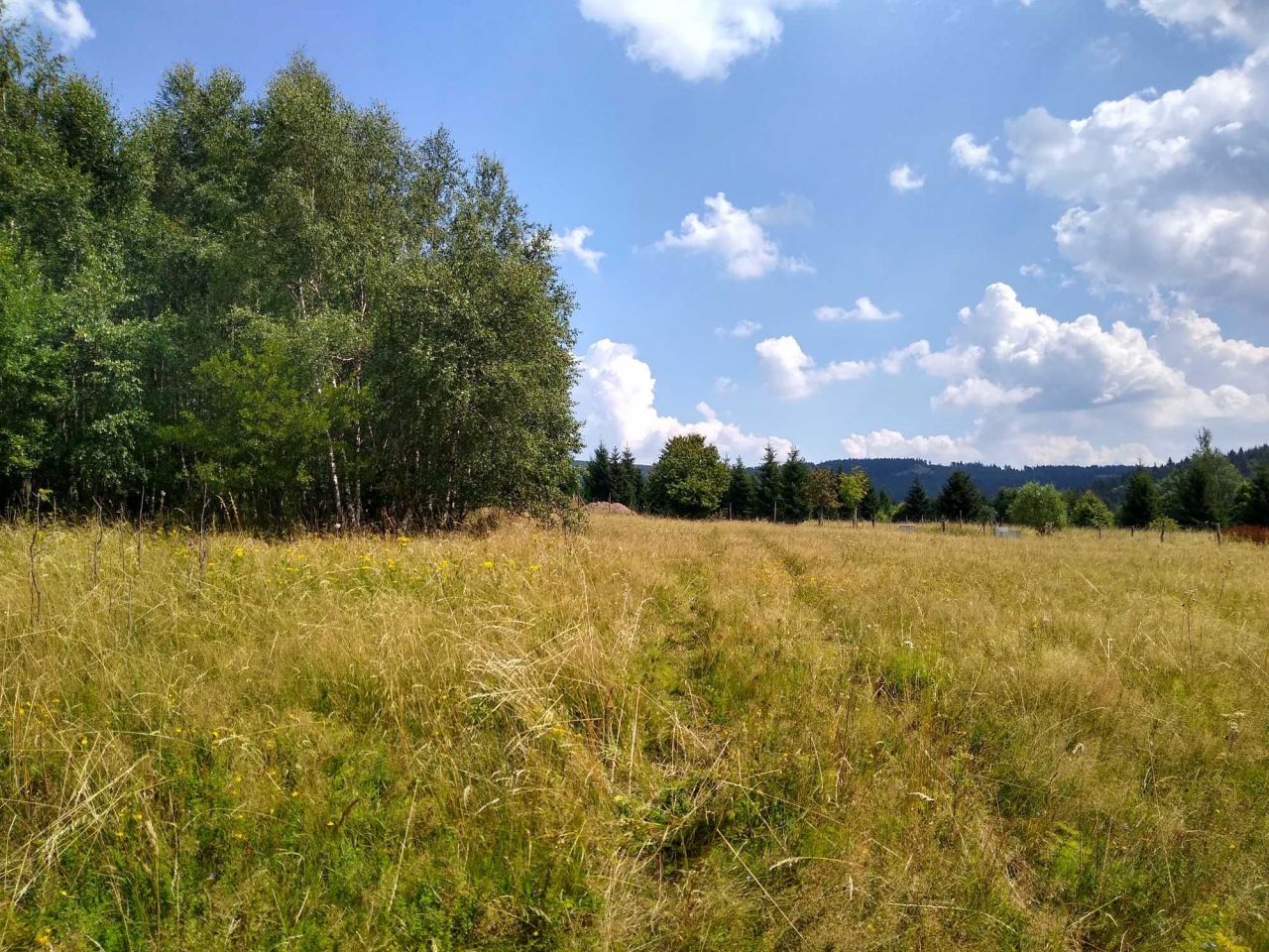 Działka Sierpnica. Zdjęcie 6