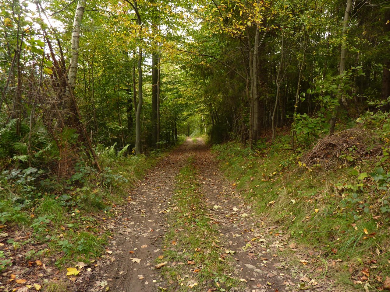 Działka rolna Pewel Wielka Garleje. Zdjęcie 20