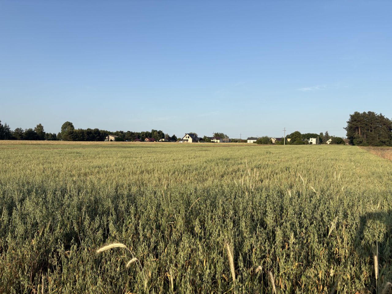 Działka rolno-budowlana Jeziorsko. Zdjęcie 8