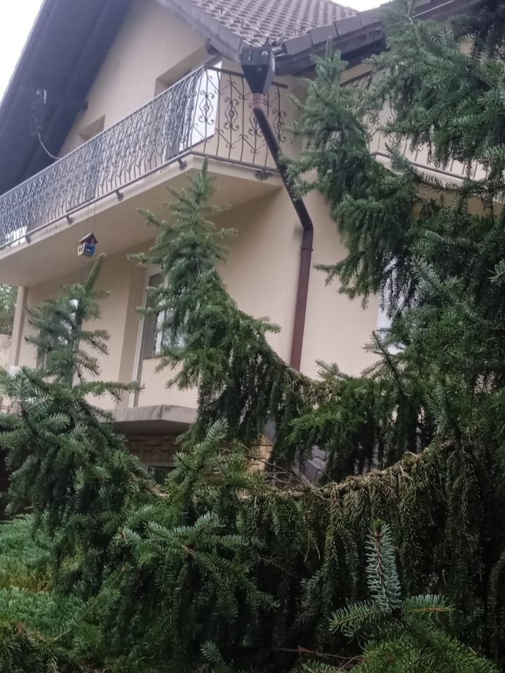 dom wolnostojący Stary Górnik. Zdjęcie 2