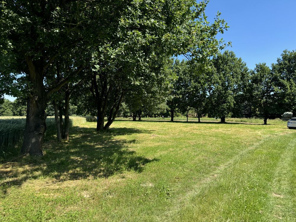 Działka rolna Wola Batorska. Zdjęcie 7