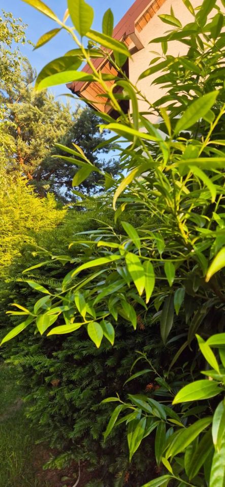 dom wolnostojący, 5 pokoi Sadów Kopce, ul. Powstańców Śląskich. Zdjęcie 79