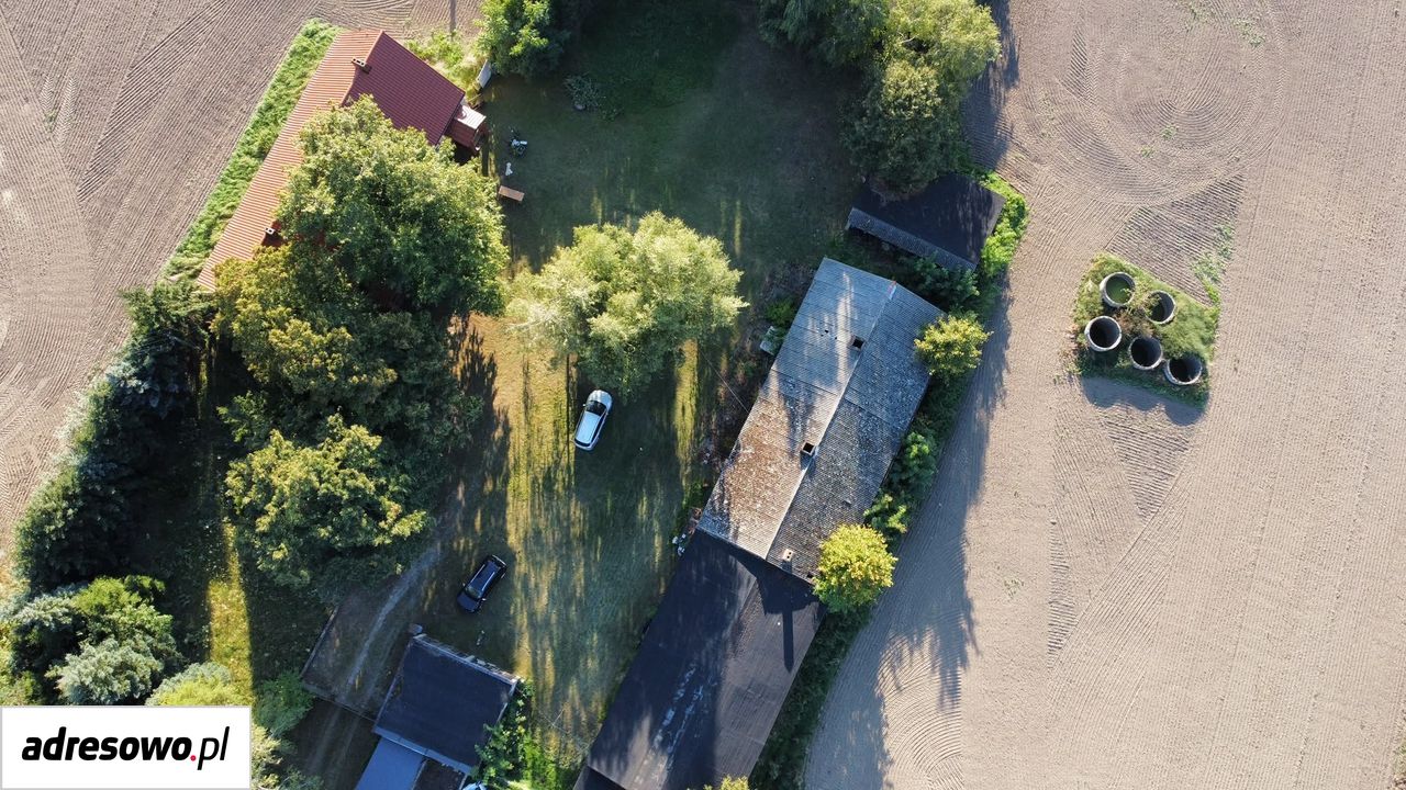 Zdjęcie 2