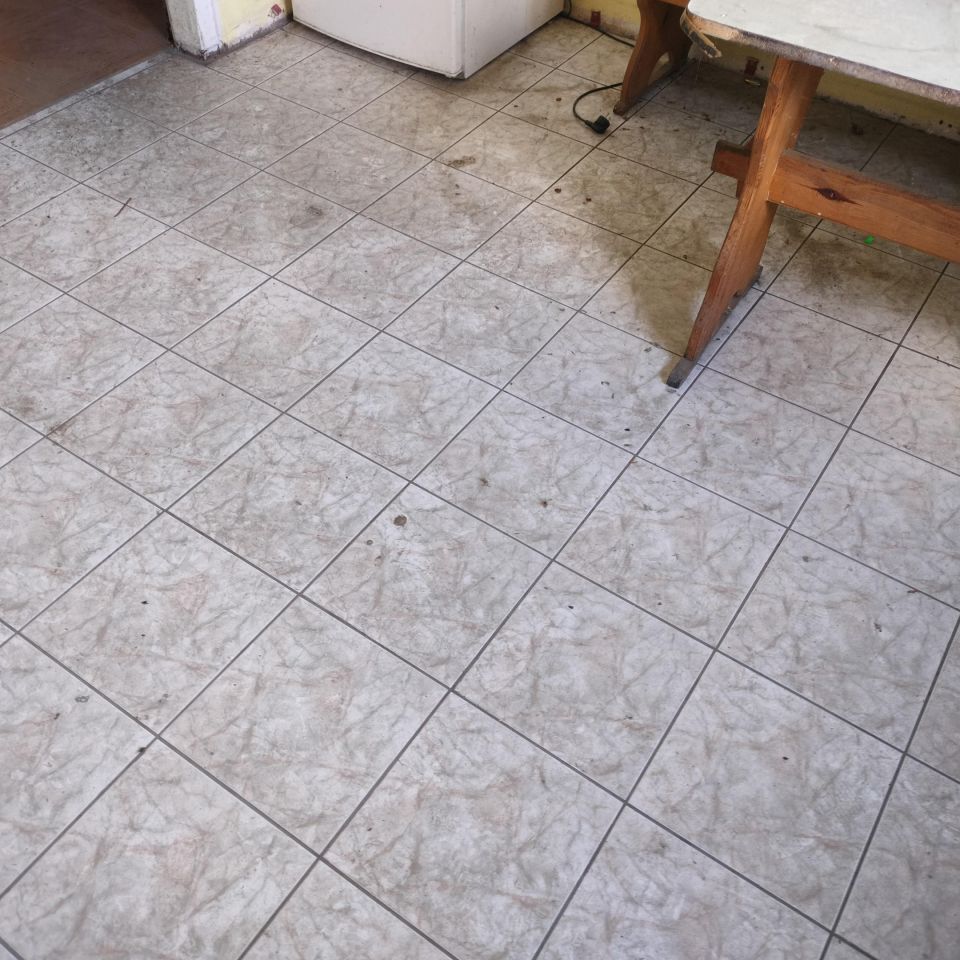 dom wolnostojący, 4 pokoje Krzyżanowice Średnie. Zdjęcie 10