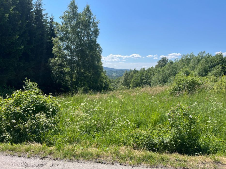 Działka budowlana Przedmieście Dubieckie. Zdjęcie 6