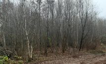 Działka rolno-budowlana Starachowice, ul. Nowowiejska. Zdjęcie 2