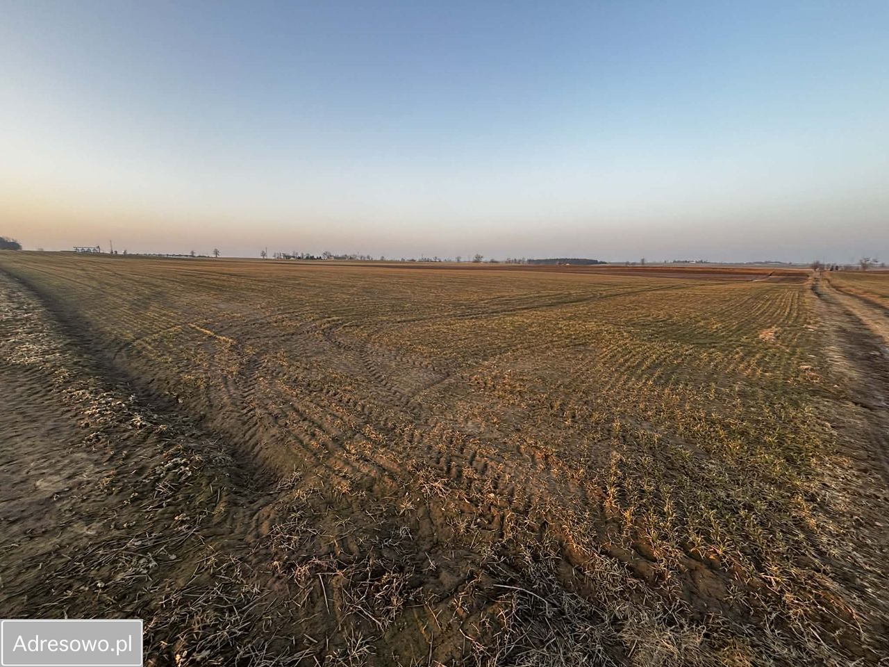 Działka rolna Trzebcz Królewski. Zdjęcie 2