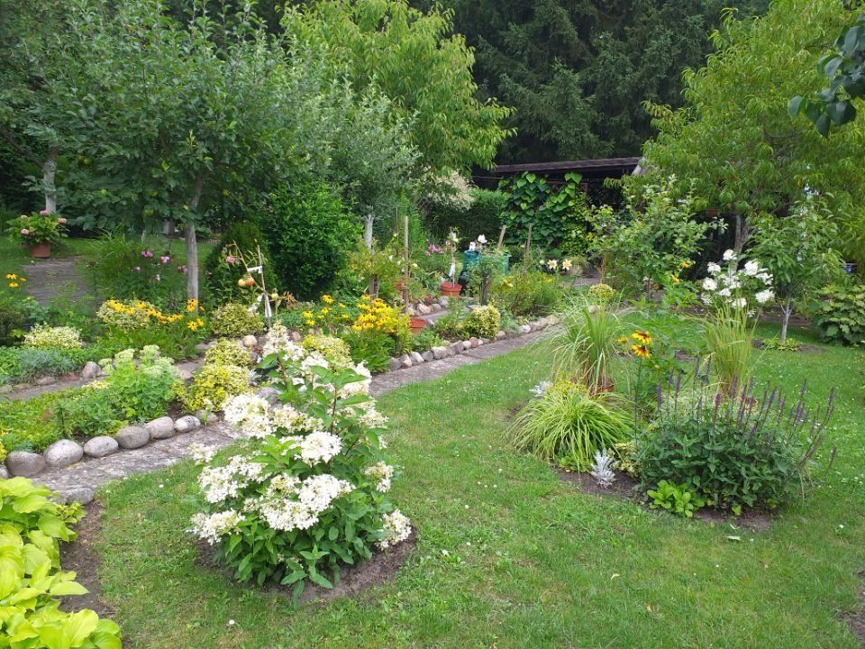 Działka rod Biedrusko. Zdjęcie 5