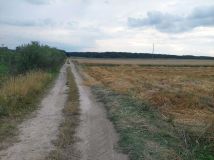 Działka rolna Jakubów. Zdjęcie 1
