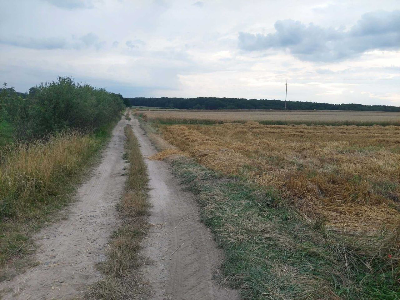 Działka rolna Jakubów. Zdjęcie 2