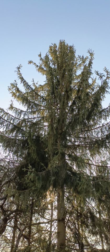 dom wolnostojący, 3 pokoje Tułkowice Środek. Zdjęcie 7