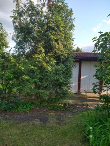 Działka rekreacyjna Łódź Chojny, ul. Trybunalska. Zdjęcie 1