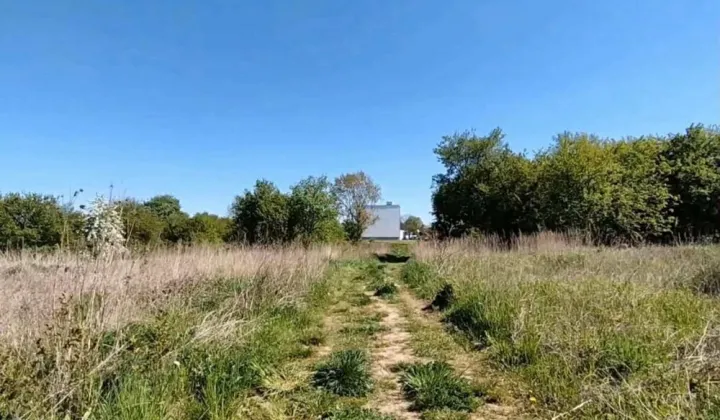 Działka budowlana Zalesie