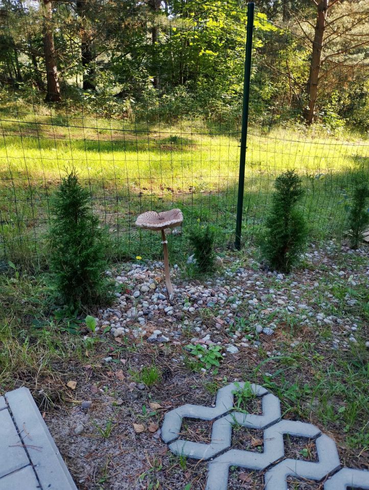 dom wolnostojący Brąswałd. Zdjęcie 3