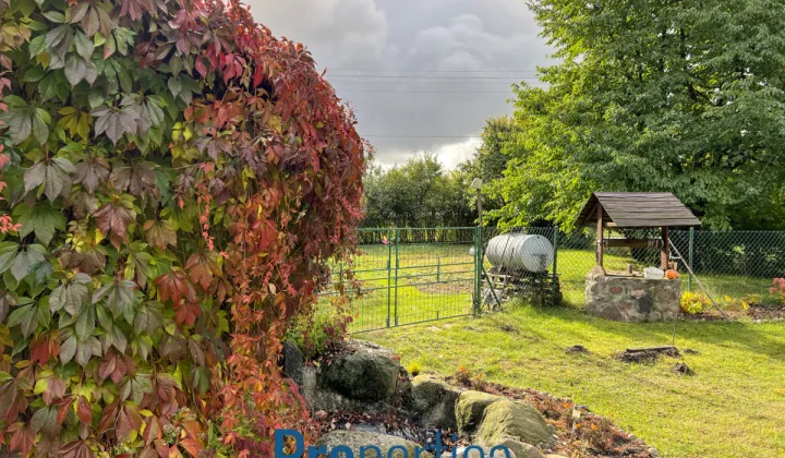 dom wolnostojący, 3 pokoje Nowy Gołymin