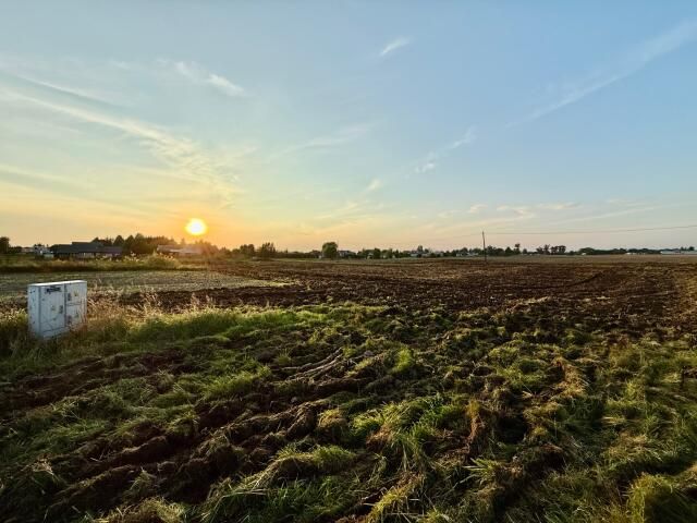 Działka budowlana Nowa Wieś. Zdjęcie 2
