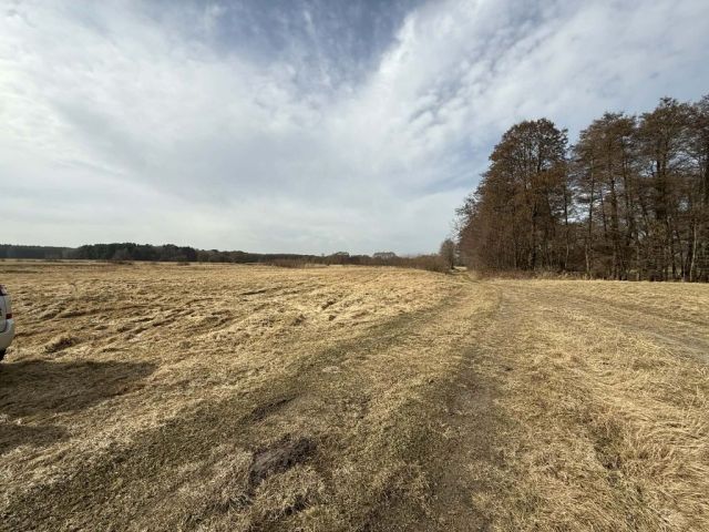 Działka rekreacyjna Świerzno. Zdjęcie 1