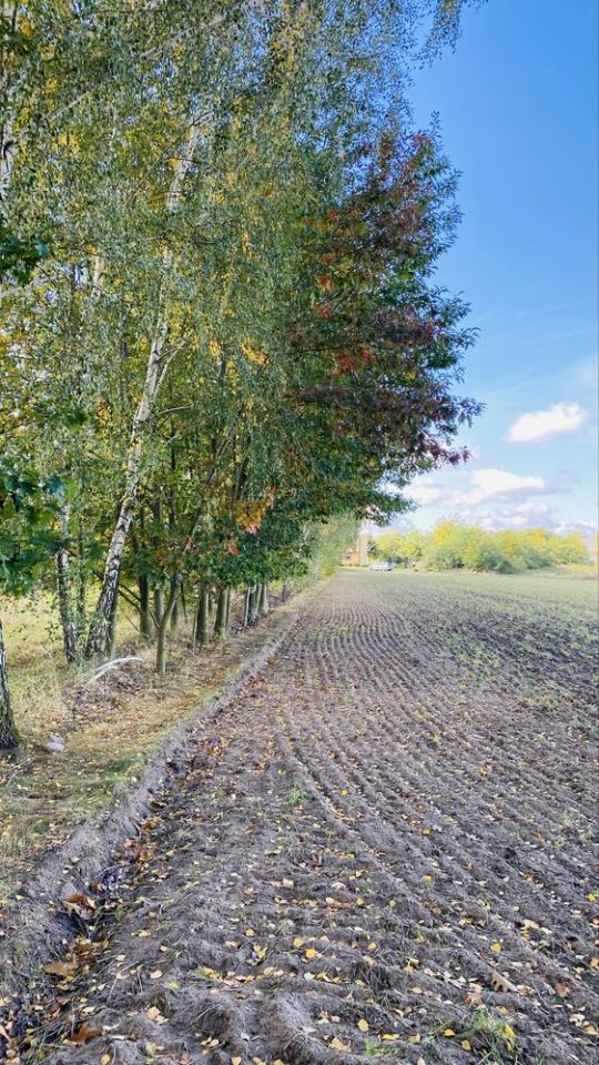 Działka rolna Adamów. Zdjęcie 4