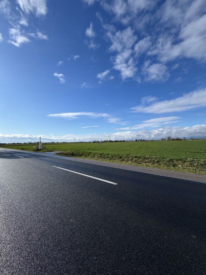 Działka rolna Dąbrowa. Zdjęcie 1