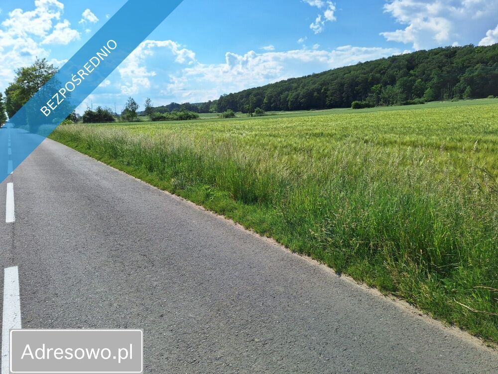 Działka rolno-budowlana Osiek nad Notecią. Zdjęcie 6