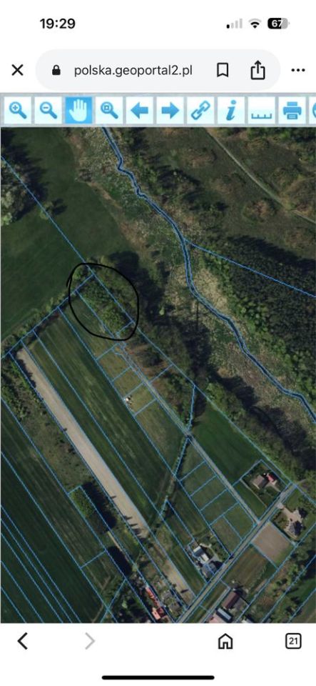 Działka leśna Skierniewice. Zdjęcie 2