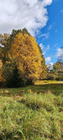 Działka budowlana Parszów. Zdjęcie 1