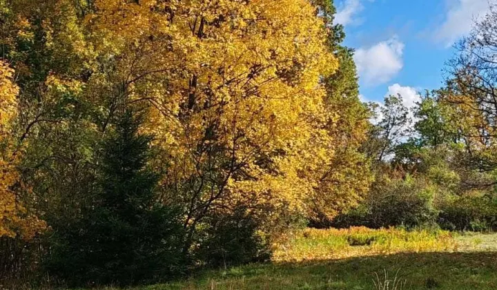 Działka budowlana Parszów