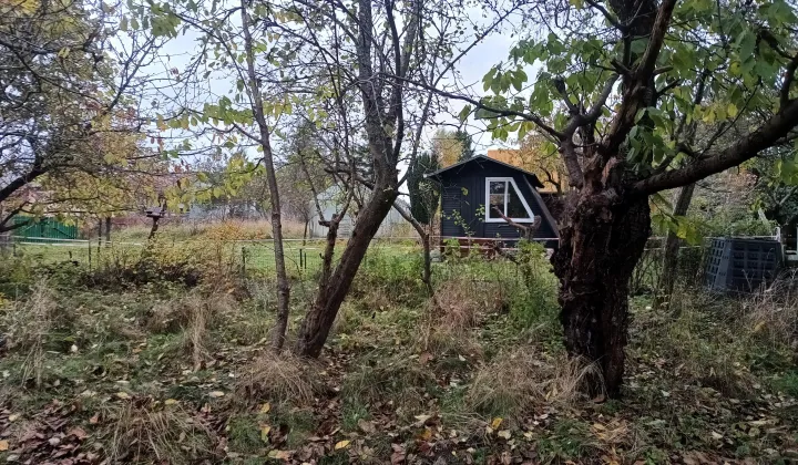 Działka rod Gdańsk Jasień, Majora Mieczysława Słabego 27